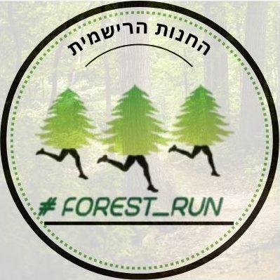 Forest Run